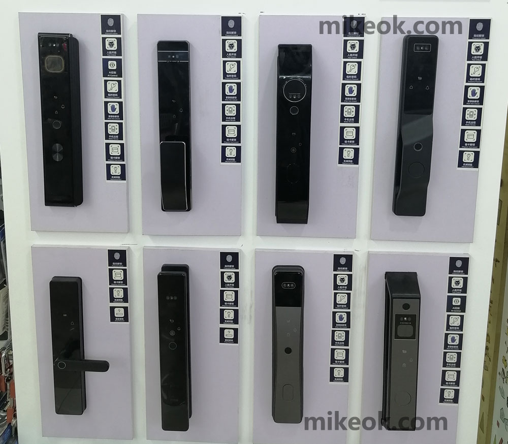 Entry Door Locks